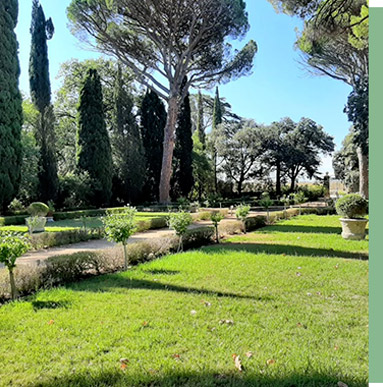 Création aménagement et entretien de jardins Occitanie